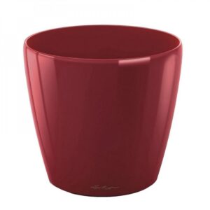 Glossy Crimson Red