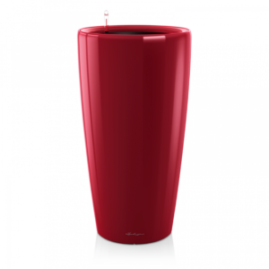Scarlet Red