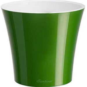 أخضر ذهبي/ أبيض