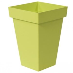 أخضر فاتح