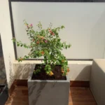 أحواض فايبرجلاس