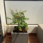 Fiberglass Planters