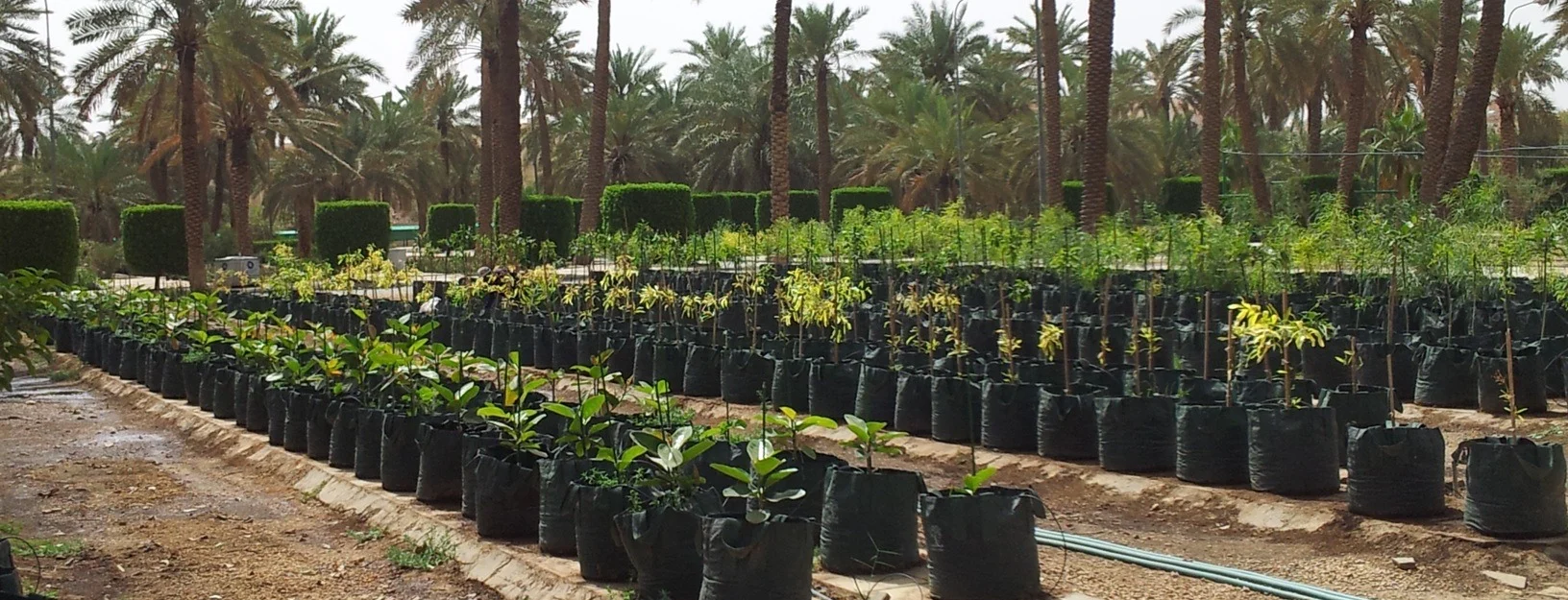 Greenhouse & Nursery Supplies